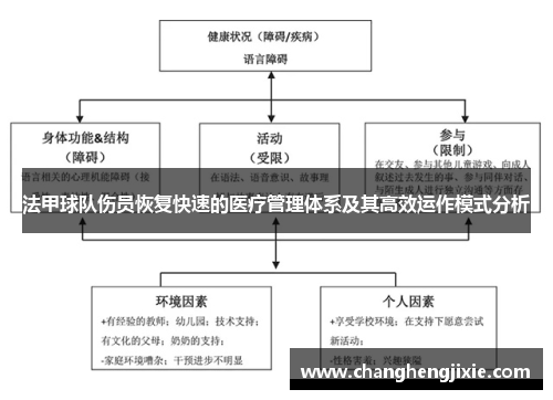 法甲球队伤员恢复快速的医疗管理体系及其高效运作模式分析